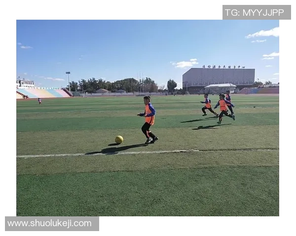 足球明星在绿茵场上挥洒汗水的精彩瞬间与激情四溢的踢球姿态