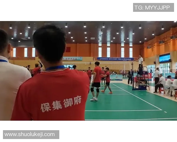 杭州排球队实力解析:挑战与机遇并存的排球盛宴 杭州排球队实力解析:挑战与机遇并存的排球盛宴