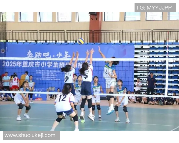 重庆排球队实力变革引发热议展现新风貌与发展潜力 重庆排球队实力变革引发热议展现新风貌与发展潜力