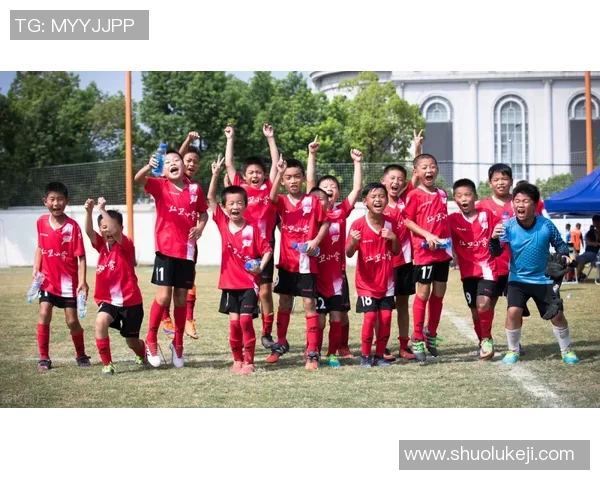 南京排球队总决赛逆袭之旅背后的奋斗与坚持揭秘