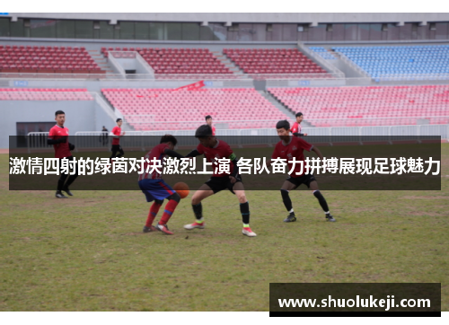 激情四射的绿茵对决激烈上演 各队奋力拼搏展现足球魅力