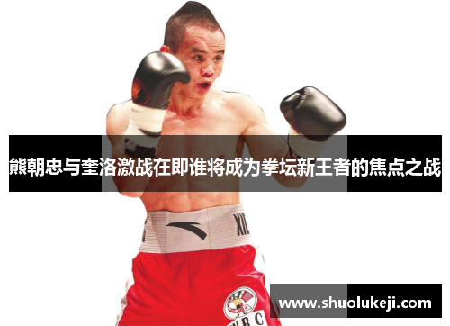 熊朝忠与奎洛激战在即谁将成为拳坛新王者的焦点之战