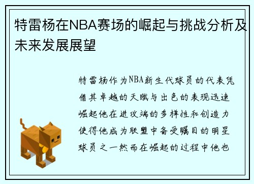 特雷杨在NBA赛场的崛起与挑战分析及未来发展展望